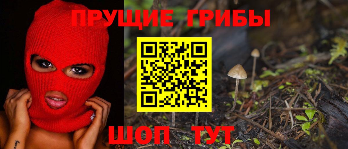 Псилоцибиновые грибы MAGIC MUSHROOMS Гуково
